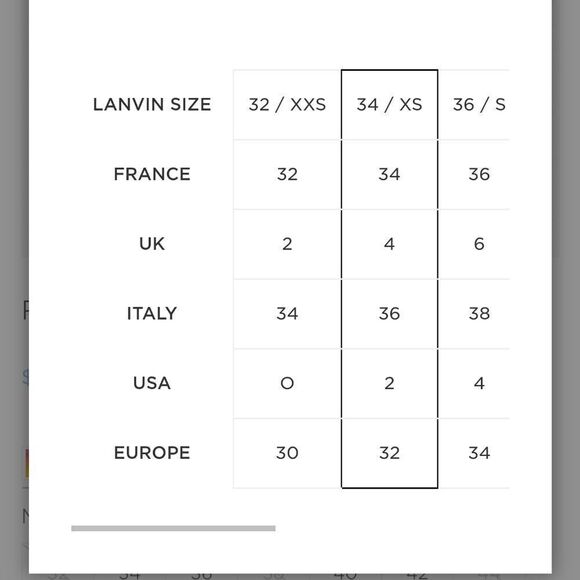 LANVIN logo Lace silk dress size 2 (34) BNWT w plunging V at the back - Picture 16 of 16